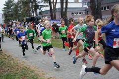 Storkower See Lauf 2018